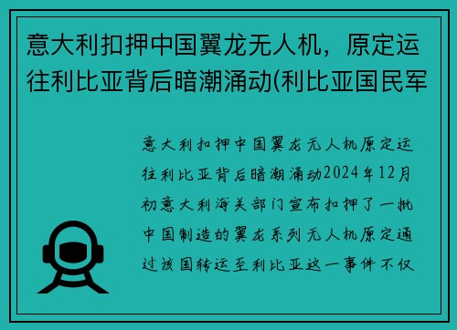 意大利扣押中国翼龙无人机，原定运往利比亚背后暗潮涌动(利比亚国民军翼龙无人机)